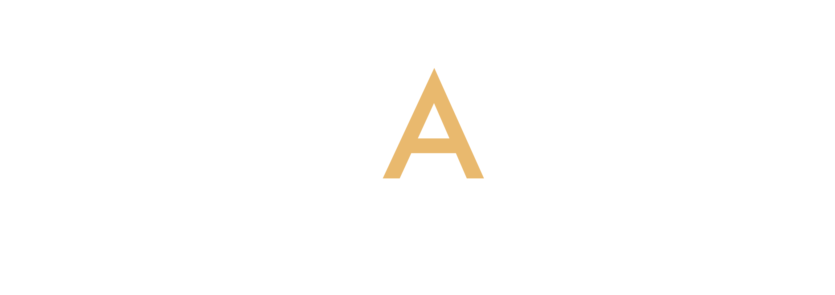 ZA Consulting